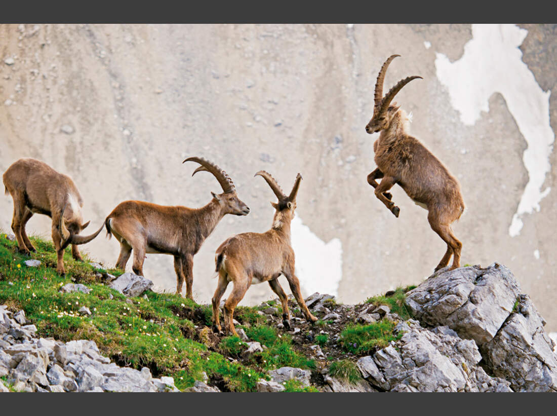 KL-Alpenvereins-Jahrbuch-2014-1 (jpg)