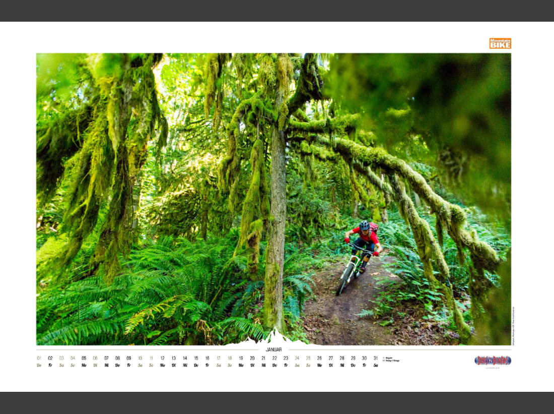 MB-MTB-Kalender-2015-JAN-TMMS (jpg)