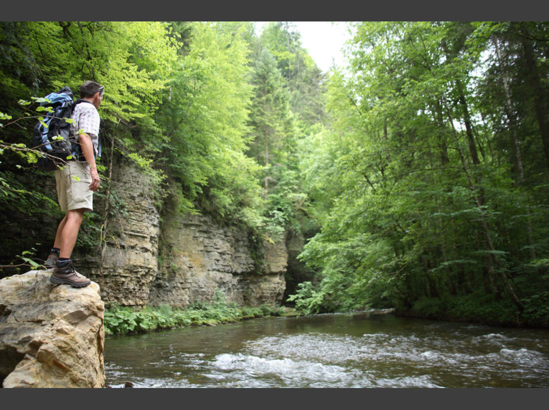 Der Schluchtensteig im Schwarzwald: Sieben Schluchten, ein Weg ...