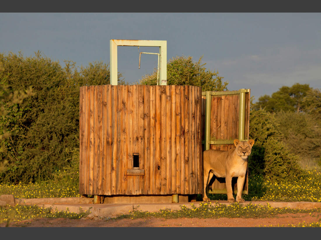 OD-Naturfotograf-2011-Eva-Pum-Frisch-geduscht (jpg)
