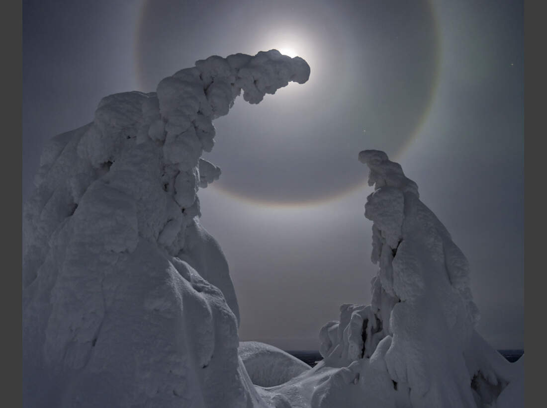 od-gdt-naturfotograf-des-jahres-2015-isomursu-esa-pekka (jpg)